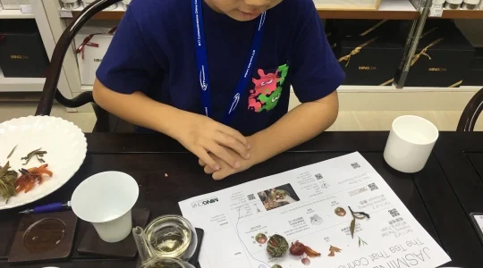 イメージ：親子で楽めるファミリープラン